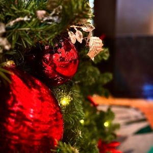 Meet your Posher, Addison